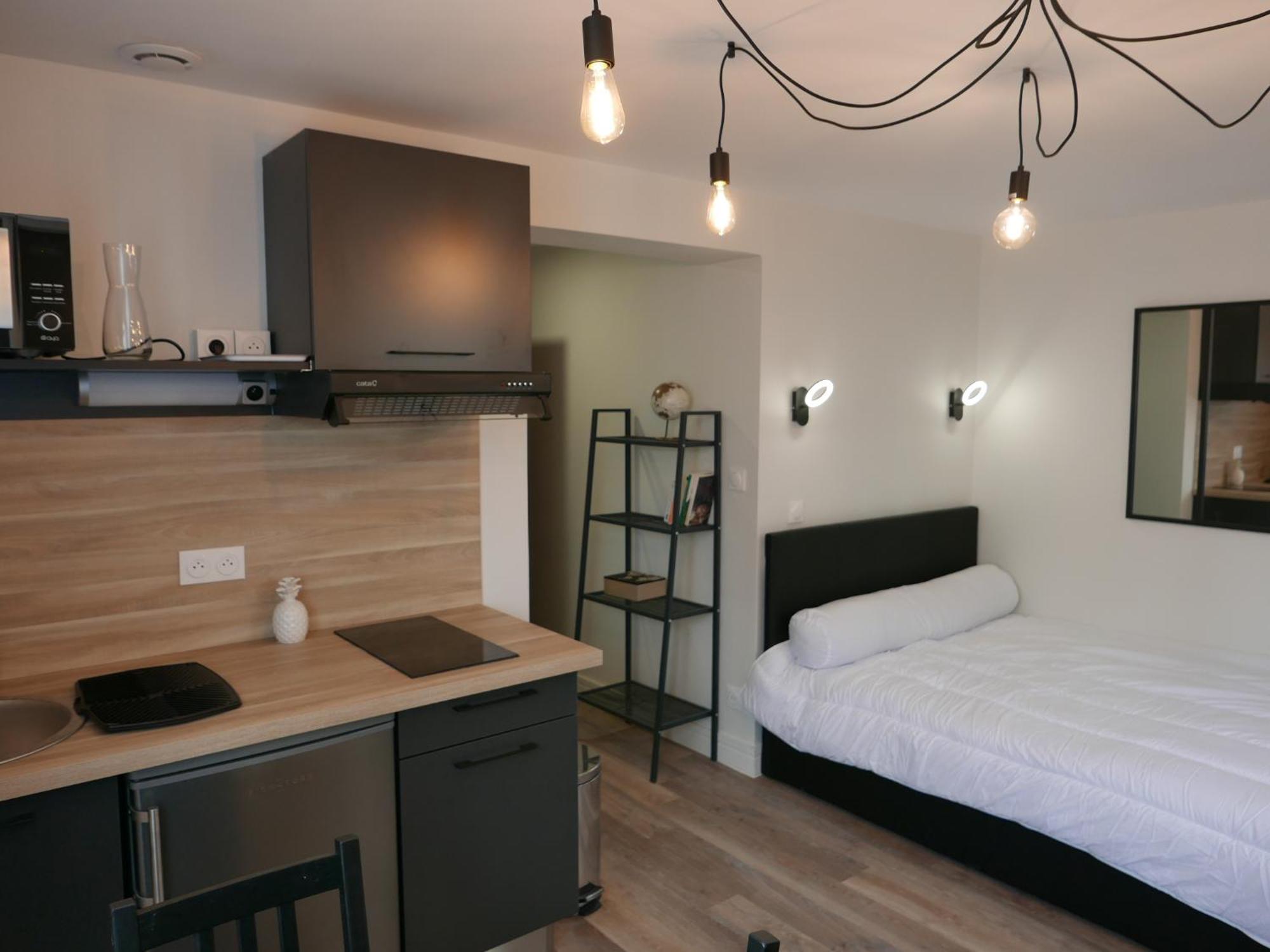 Au 3 Rue Manhes Apartment Albi Ngoại thất bức ảnh
